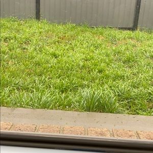 Meet your Posher, Ahlam